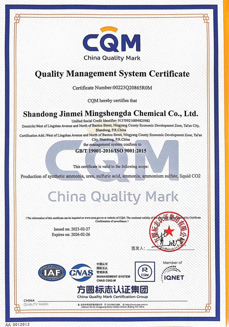 質(zhì)量管理體系英文