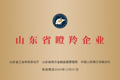 2021年被評為山東省瞪羚企業