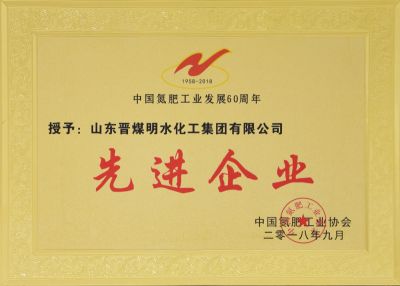 中國氮肥工業發展60周年先進企業